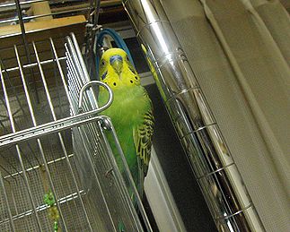 f0196665_0274019.jpg
