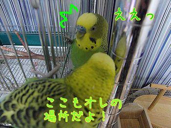 f0196665_030187.jpg