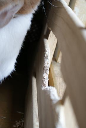e0166066_1031537.jpg