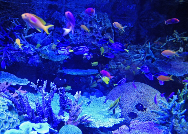 b0131167_2184635.jpg