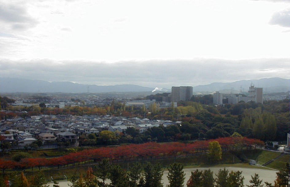 e0126576_10271270.jpg