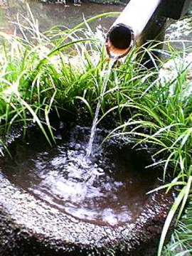 f0054677_8331998.jpg
