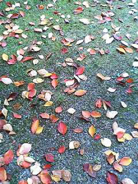 f0054677_833578.jpg
