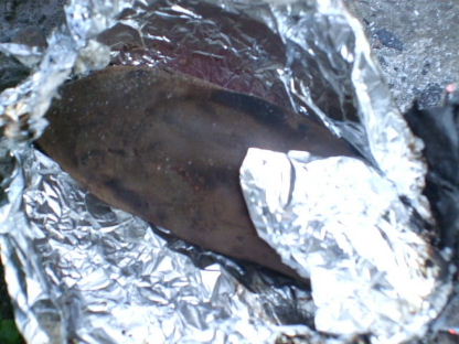 f0039281_20355711.jpg