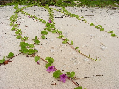 b0101284_20121759.jpg