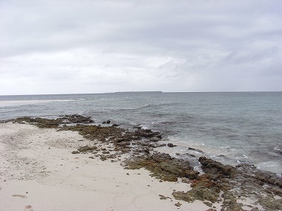 b0101284_20142732.jpg