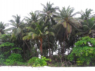 b0101284_21304492.jpg