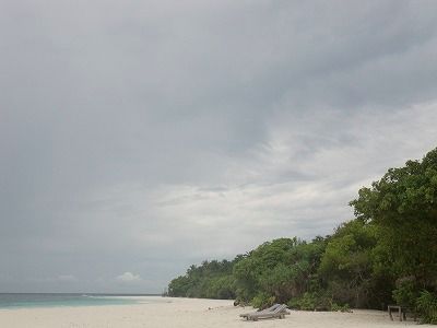 b0101284_2318862.jpg