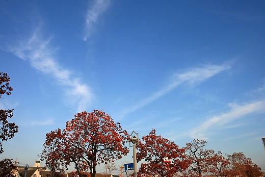 e0190885_18293420.jpg