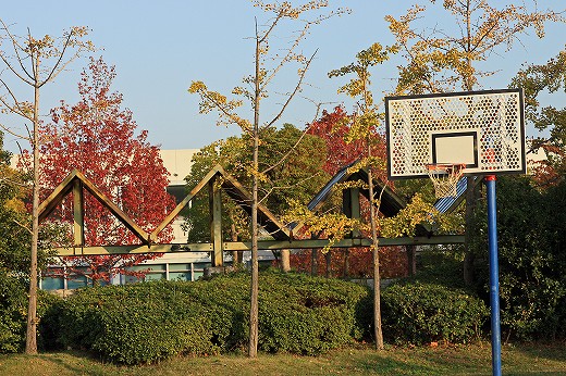 e0190885_18301777.jpg