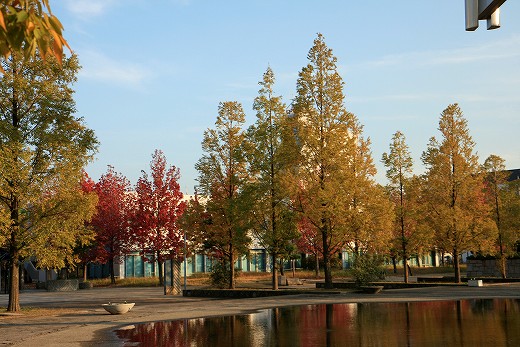 e0190885_18324391.jpg