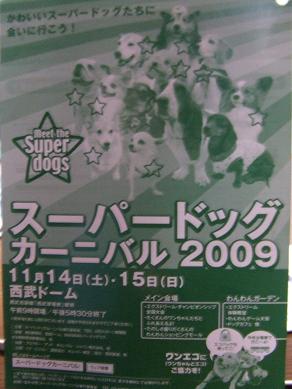 e0060288_2213236.jpg