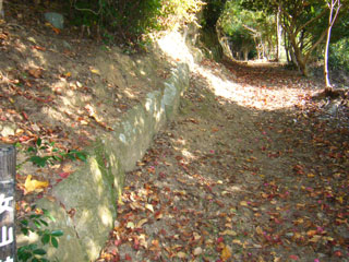 d0079494_22161313.jpg