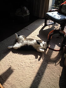 c0035001_15284630.jpg