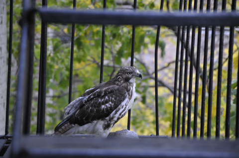 e0039002_1233779.jpg