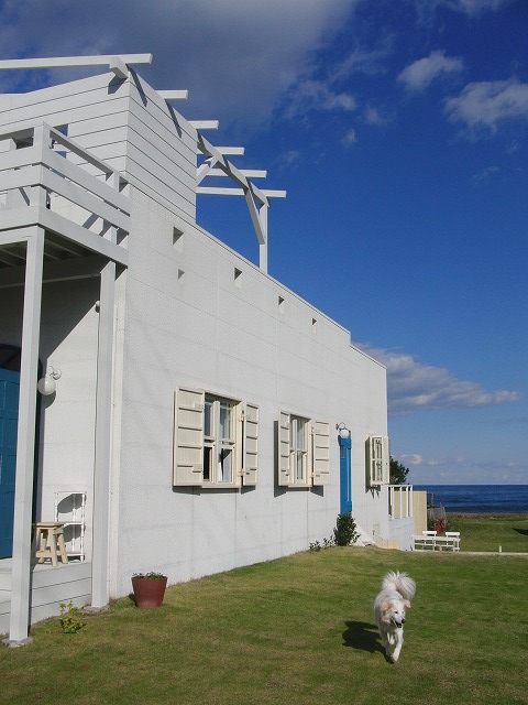 a0032004_2112469.jpg