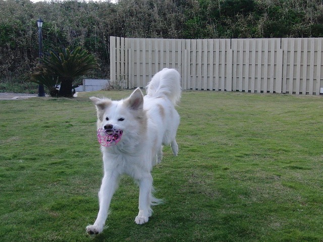 a0032004_21323747.jpg