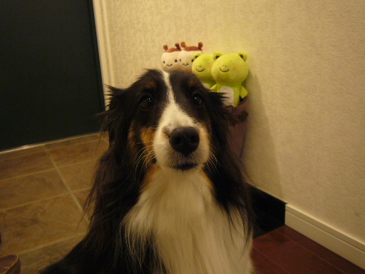 e0130008_17573321.jpg
