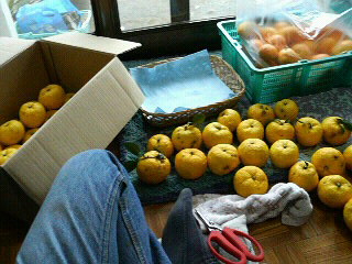 f0127408_23484613.jpg
