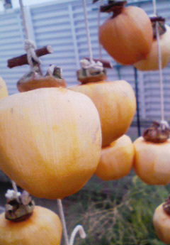 c0162212_18405693.jpg