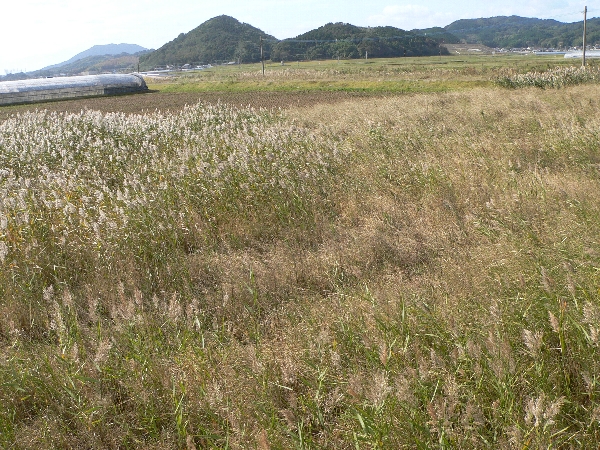 e0002314_19135856.jpg