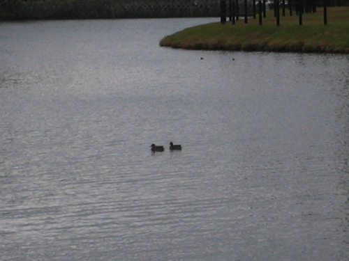 c0219815_217520.jpg