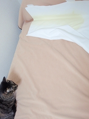 c0145016_12193352.jpg