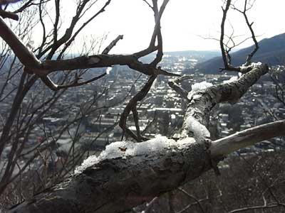 c0164318_15285838.jpg