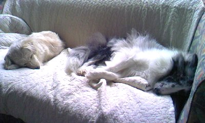 c0150520_13184067.jpg