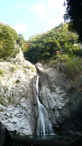 e0016120_1545862.jpg