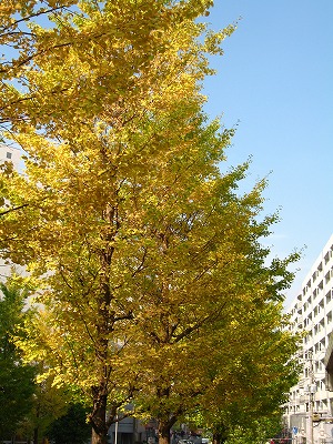 a0111621_18401089.jpg