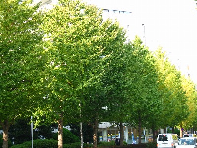 a0111621_18422595.jpg