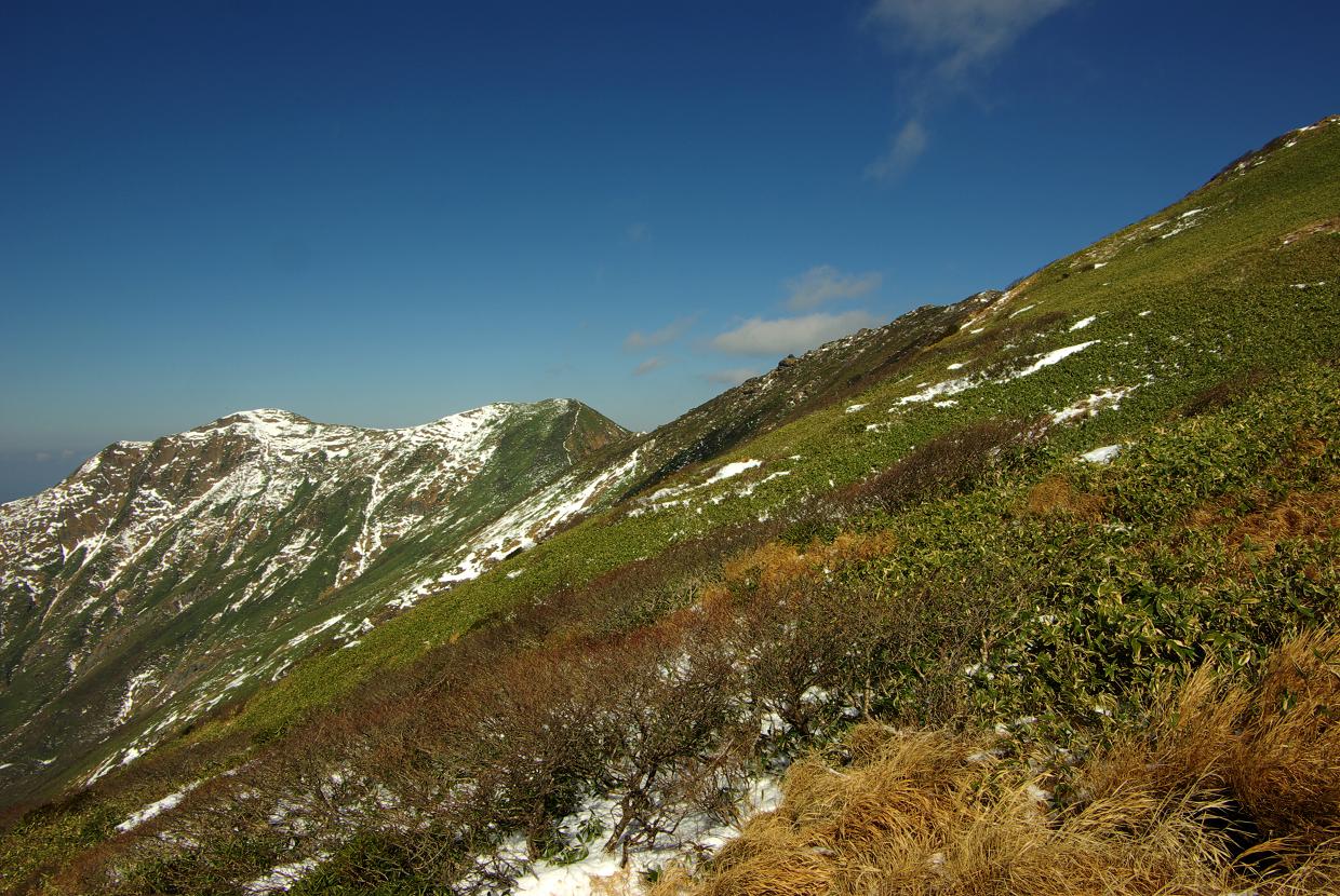 b0062024_9203861.jpg
