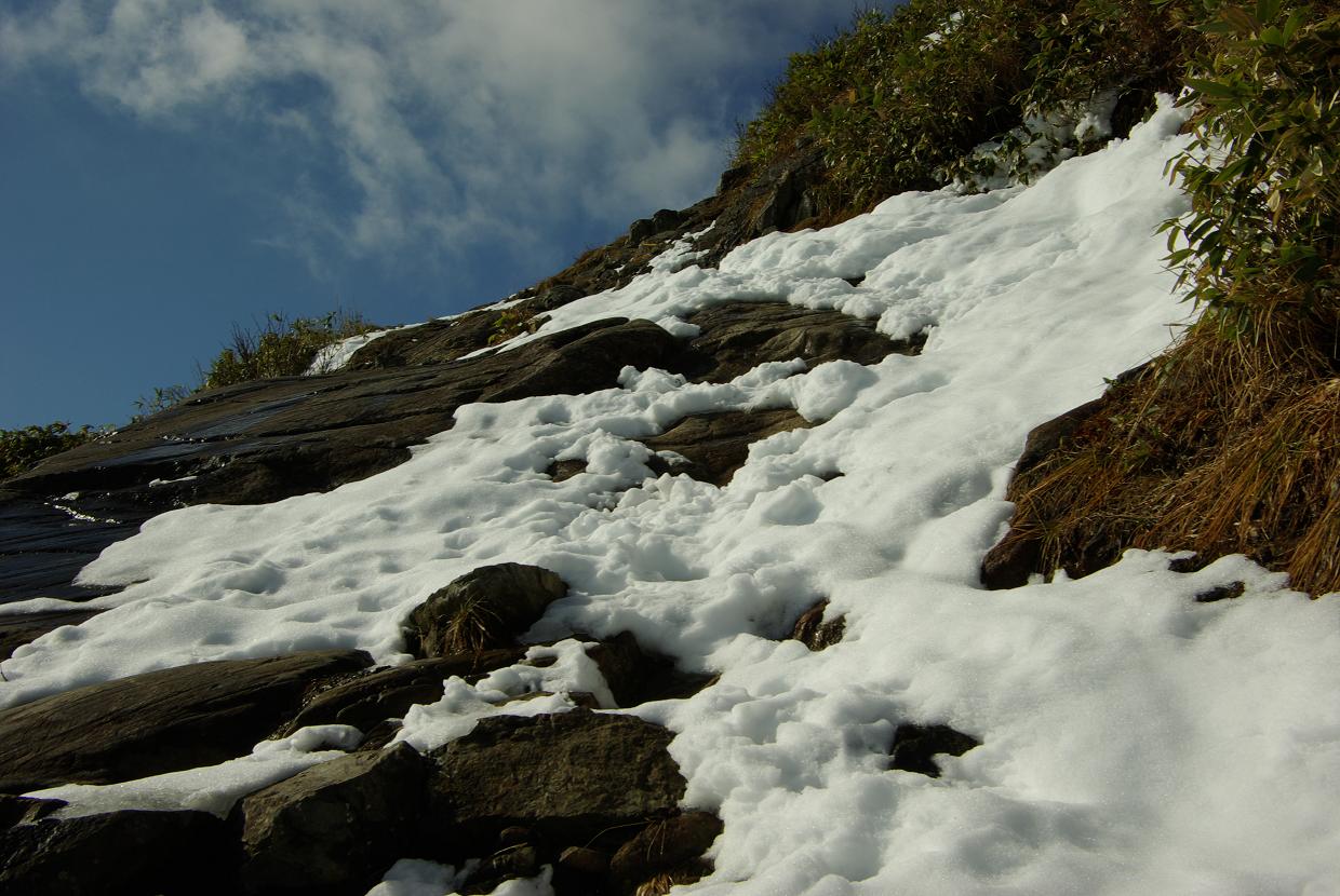 b0062024_961254.jpg