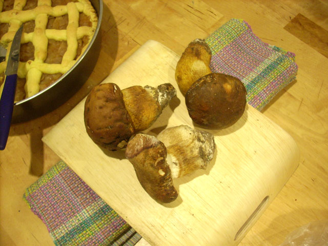 f0157724_2145224.jpg
