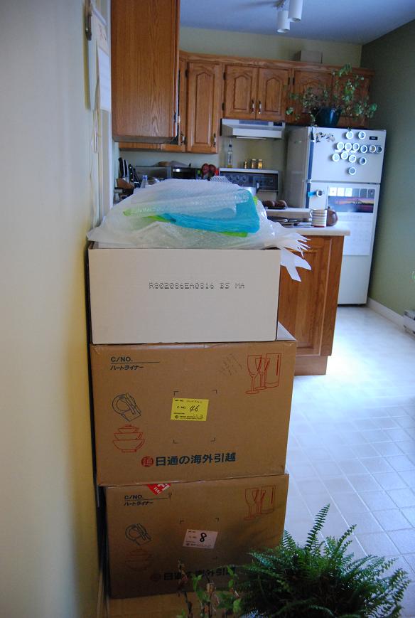 f0111926_8544264.jpg