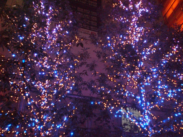 c0201427_0422029.jpg