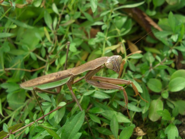 c0219737_114512100.jpg