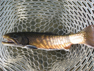 f0065341_18232122.jpg