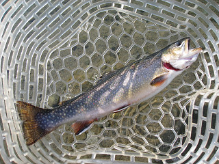 f0065341_18244665.jpg