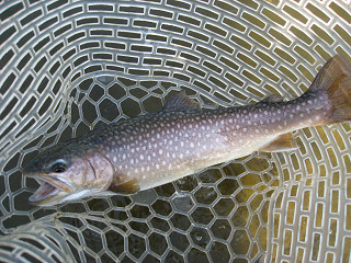f0065341_18255839.jpg