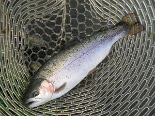 f0065341_18305626.jpg