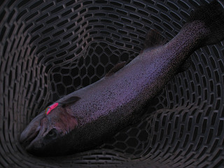 f0065341_18331290.jpg