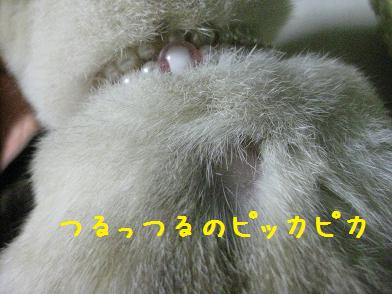 b0151748_12274833.jpg