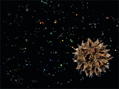 e0005548_21112816.gif