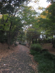 e0121548_22365910.jpg