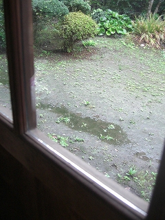 f0009451_10322745.jpg