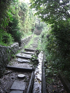 f0009451_7102596.jpg