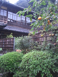 f0009451_7273995.jpg