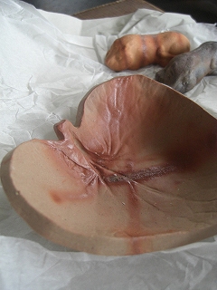 f0009451_9405981.jpg